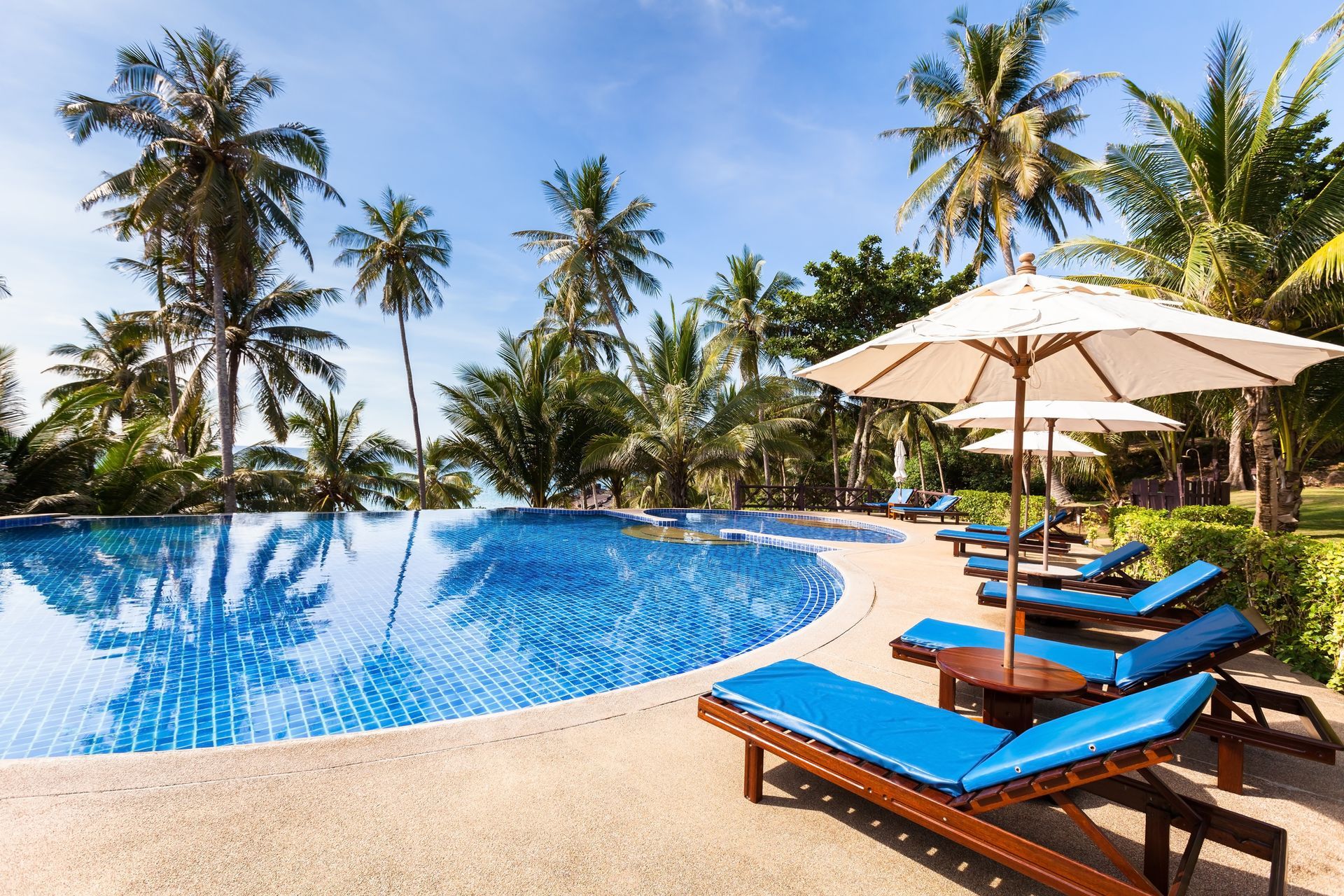 Swimming Pool With Palm trees - Ormond Beach, FL - Blue Horizon Pool Care Inc.